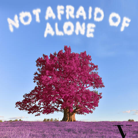 Not Afraid of Alone