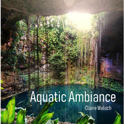 Aquatic Ambiance (From Donkey Kong Country)