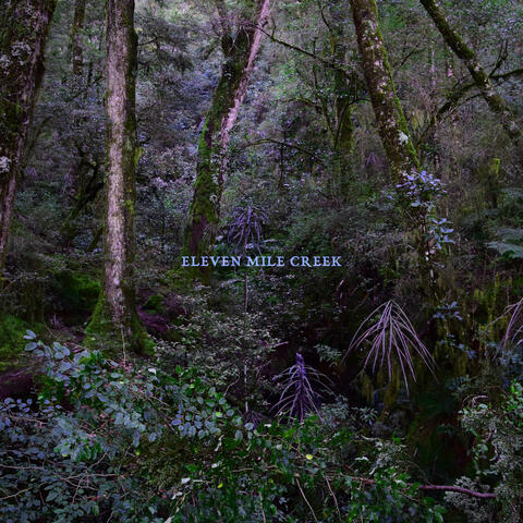 Eleven Mile Creek