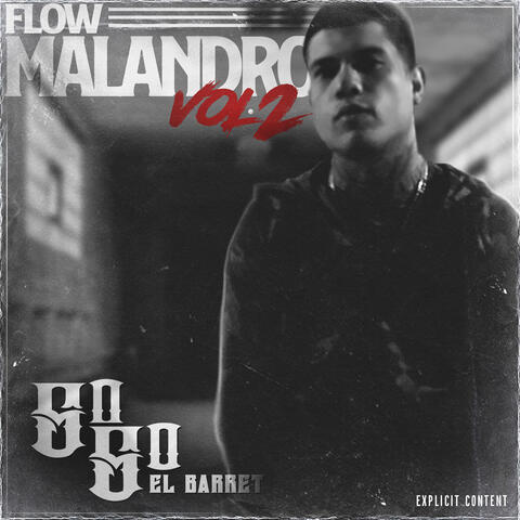 Flow Malandro, Vol. 2