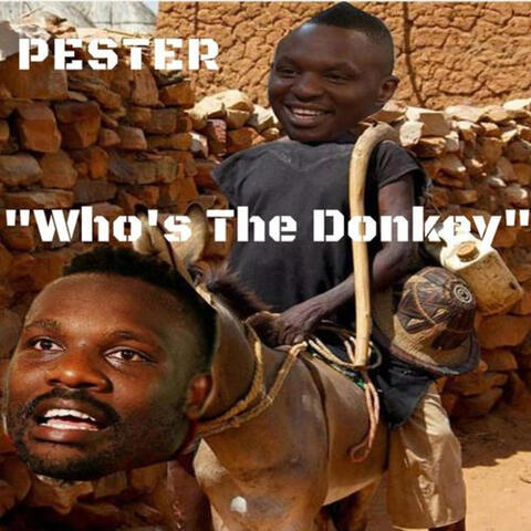 Who's the Donkey