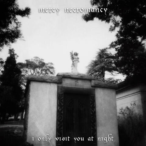I Only Visit You at Night