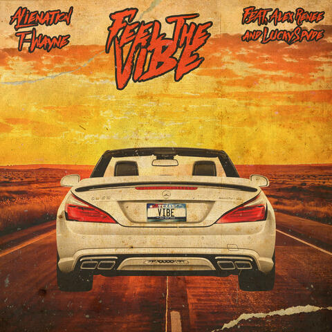 Feel the Vibe