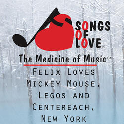 Felix Loves Mickey Mouse, Legos and Centereach, New York