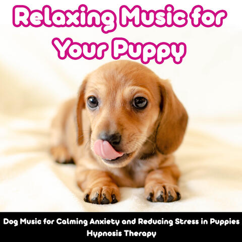 Relaxing Music for Your Puppy: Dog Music for Calming Anxiety and Reducing Stress in Puppies (Hypnosis Therapy)