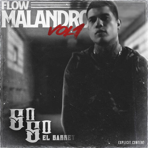 Flow Malandro, Vol. 1