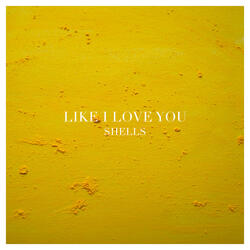 Like I Love You