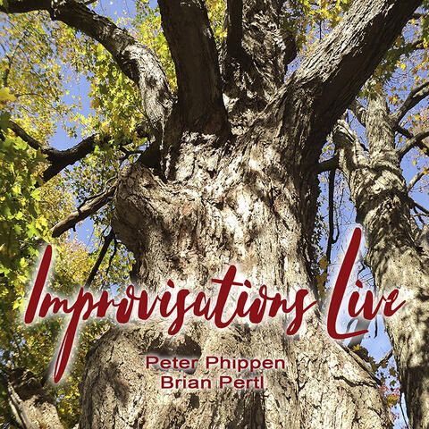 Improvisations (Live)
