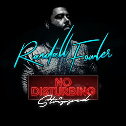 No Disturbing (Stripped)