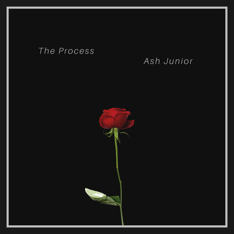 The Process
