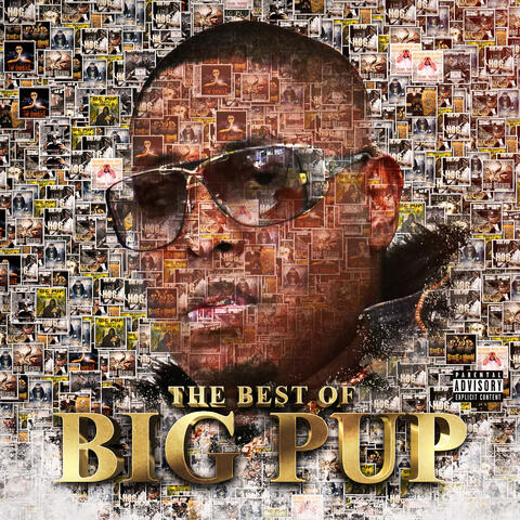 The Best of Big Pup