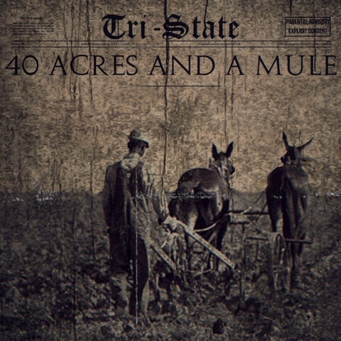 40 Acres and a Mule