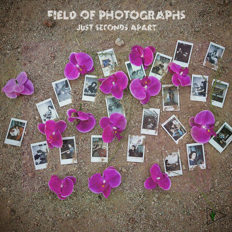 Field of Photographs
