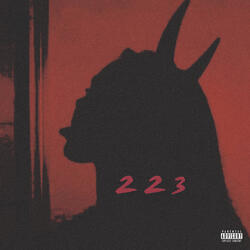 223