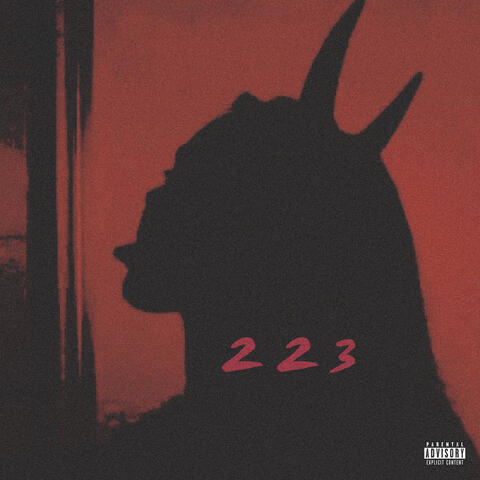 223