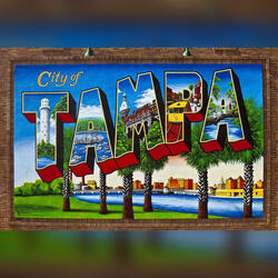 I'm so Tampa