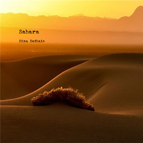 Sahara