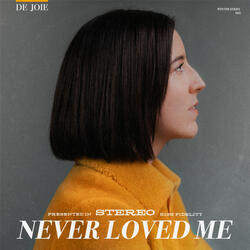 Never Loved Me