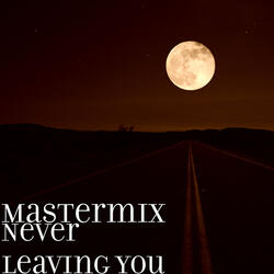 Never Leaving You