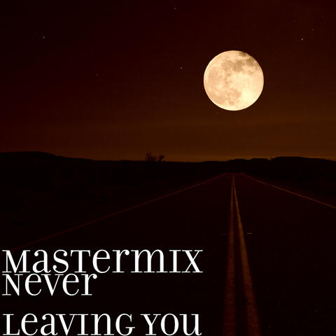 Never Leaving You
