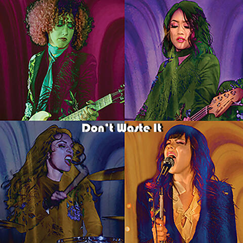 Don't Waste It - Single
