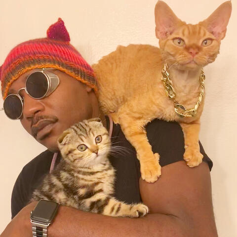 Cats That's It
