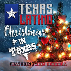 Christmas in Texas