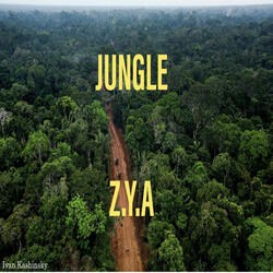 Jungle