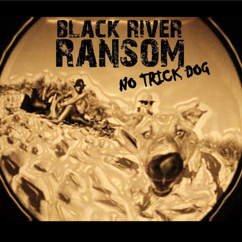 No Trick Dog