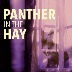 Panther in the Hay