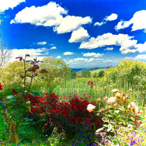 You're a Garden