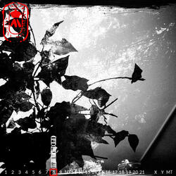 Grey Matter