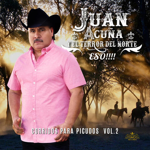 Corridos Para Picudos, Vol.2