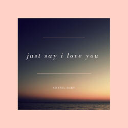 Just Say I Love You