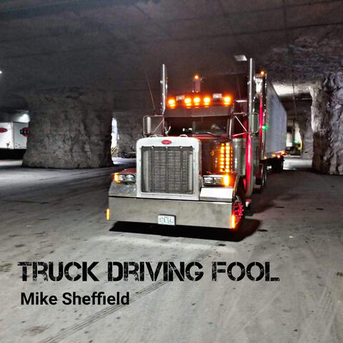 Truck Driving Fool
