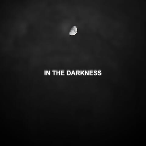 In the Darkness