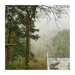 Fallen Leaves (O.M.B. Version)