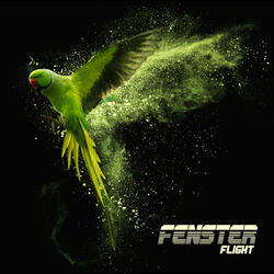 Flight