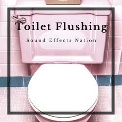Toilet Flushing