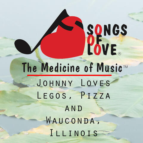 Johnny Loves Legos, Pizza and Wauconda, Illinois