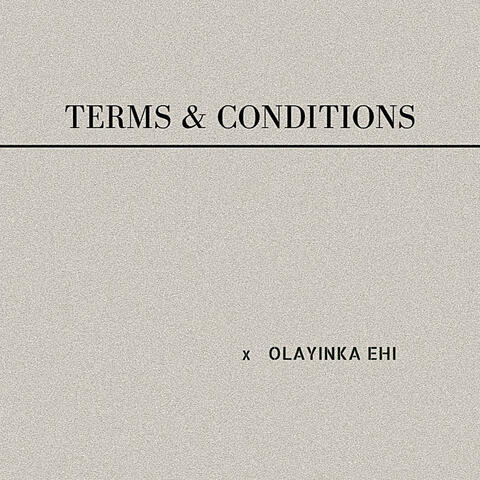 Terms and Conditions