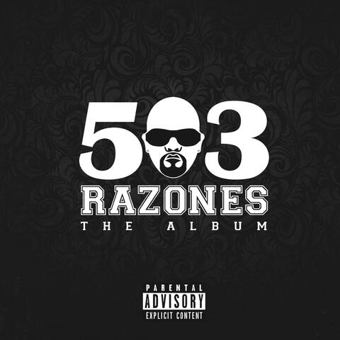 503 Razones