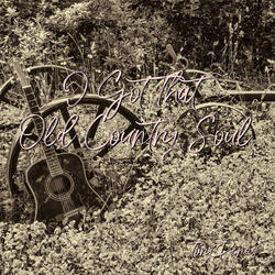 I Got That Old Country Soul