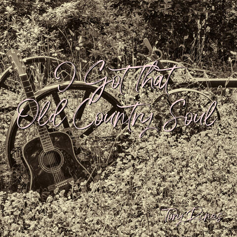 I Got That Old Country Soul