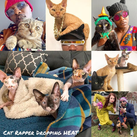 Cat Rapper Dropping Heat