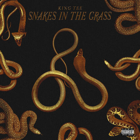 Snakes in the Grass