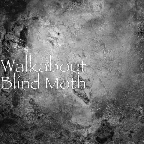 Blind Moth
