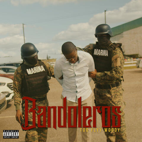 Bandoleros