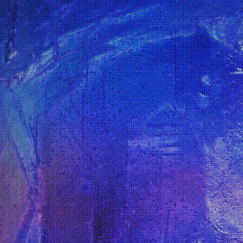 Shelter