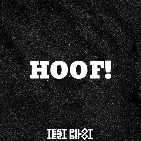 Test Pilot